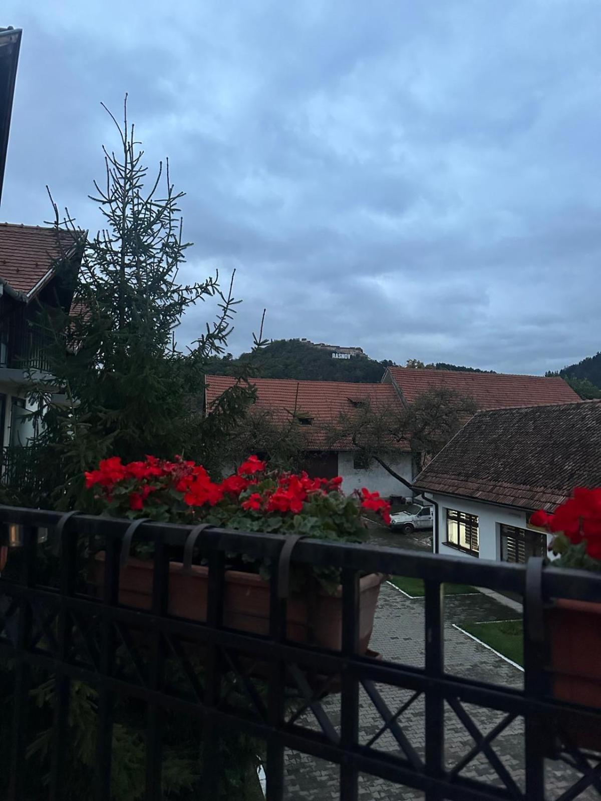 Pensiunea Casa Saxonia Rîşnov Εξωτερικό φωτογραφία