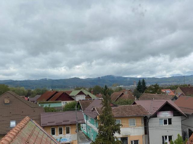Pensiunea Casa Saxonia Rîşnov Εξωτερικό φωτογραφία