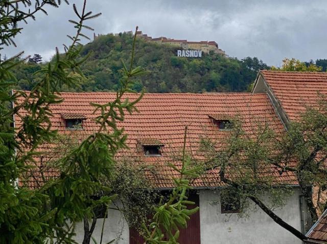 Pensiunea Casa Saxonia Rîşnov Εξωτερικό φωτογραφία