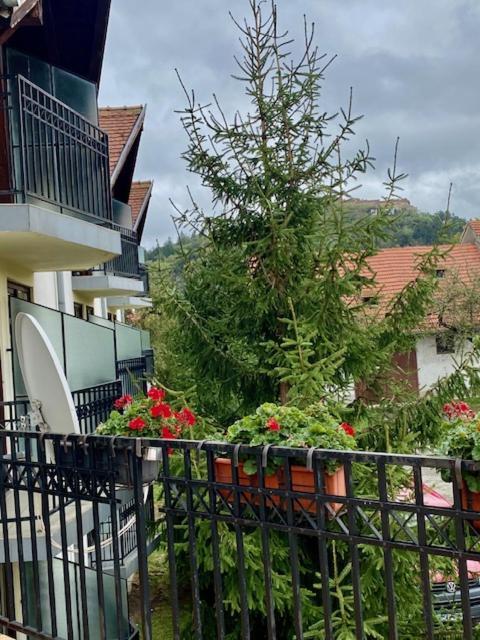 Pensiunea Casa Saxonia Rîşnov Εξωτερικό φωτογραφία